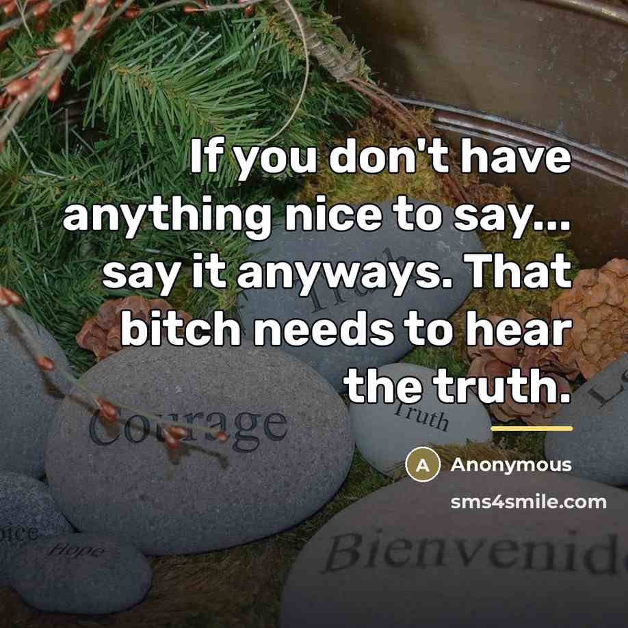 “If you don't have anything nice to say... say it…” quote by Anonymous
