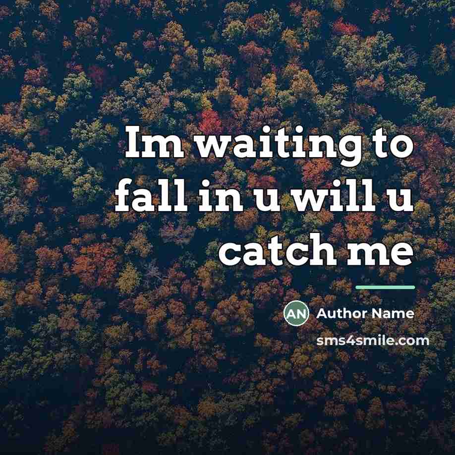 “Im waiting to fall in u will u catch me…” quote by Author Name