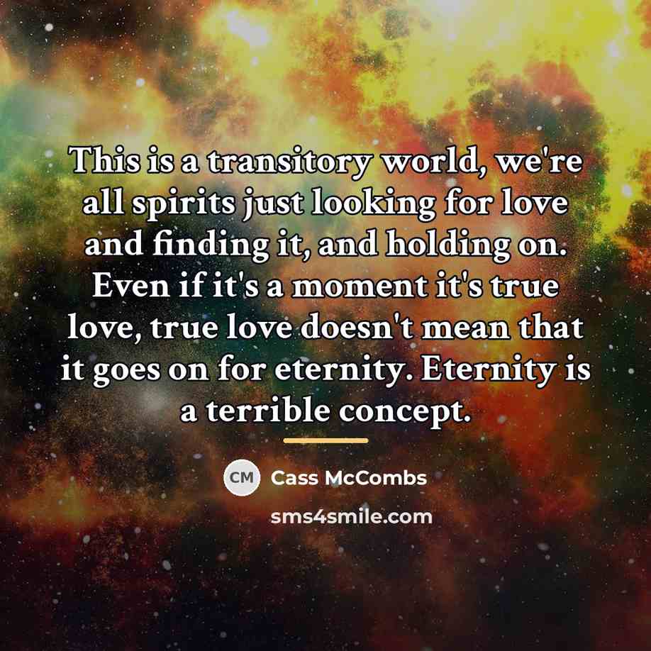 “This is a transitory world, we're all spirits just looking…” quote by Cass McCombs