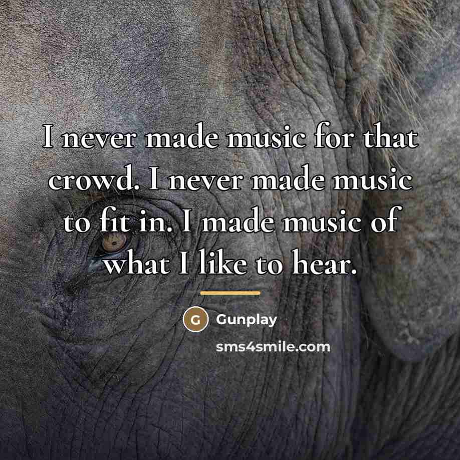 “I never made music for that crowd. I never made…” quote by Gunplay