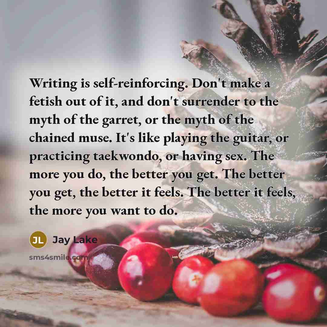 “Writing is self-reinforcing. Don't make a fetish out of it,…” quote by Jay Lake