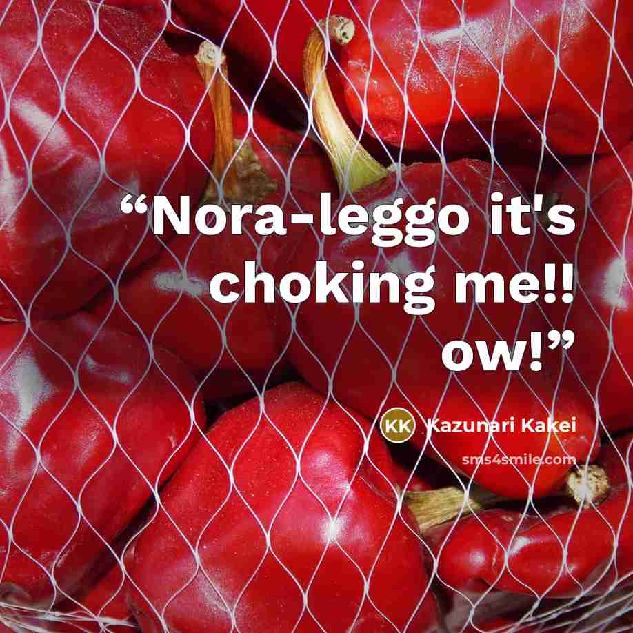 “Nora-leggo it's choking me!! ow!” quote by Kazunari Kakei