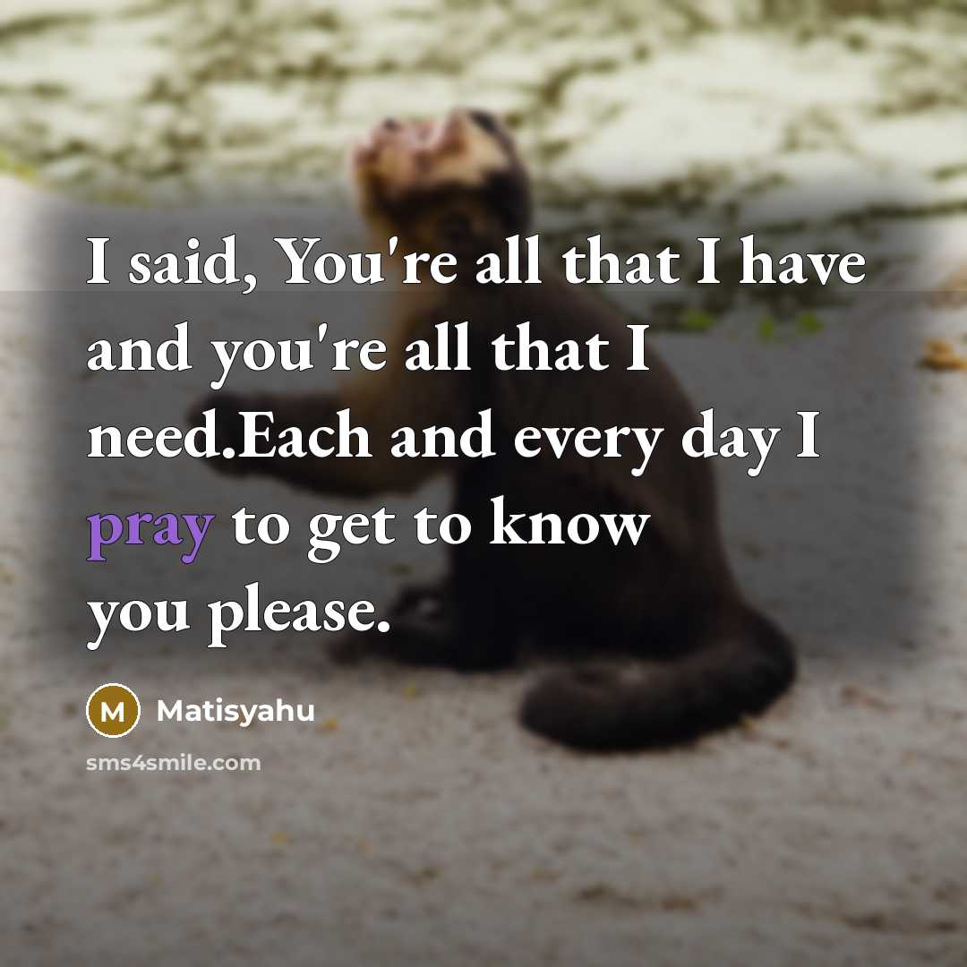 “I said, You're all that I have and you're all…” quote by Matisyahu