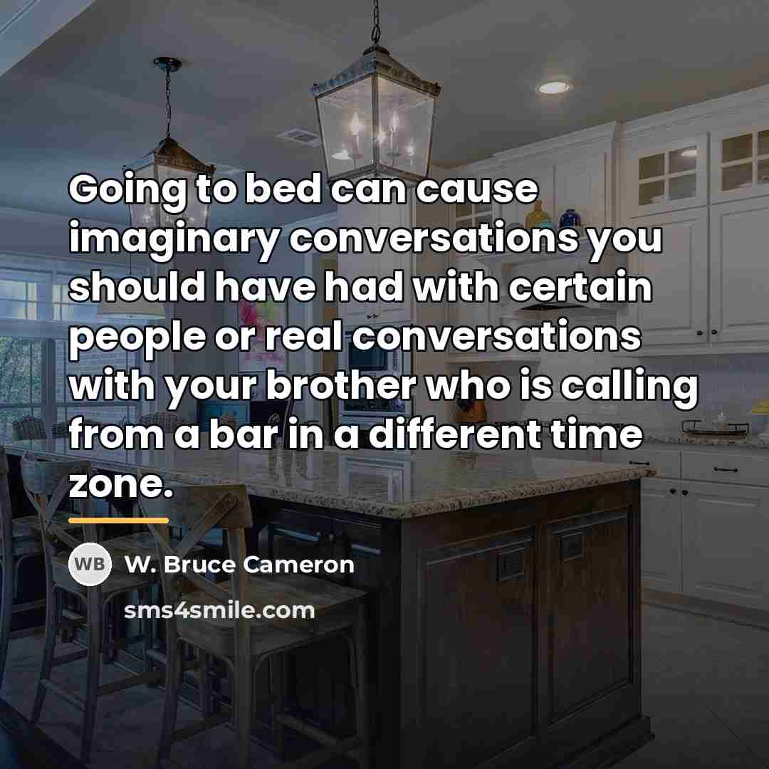 “Going to bed can cause imaginary conversations you should have…” quote by W. Bruce Cameron