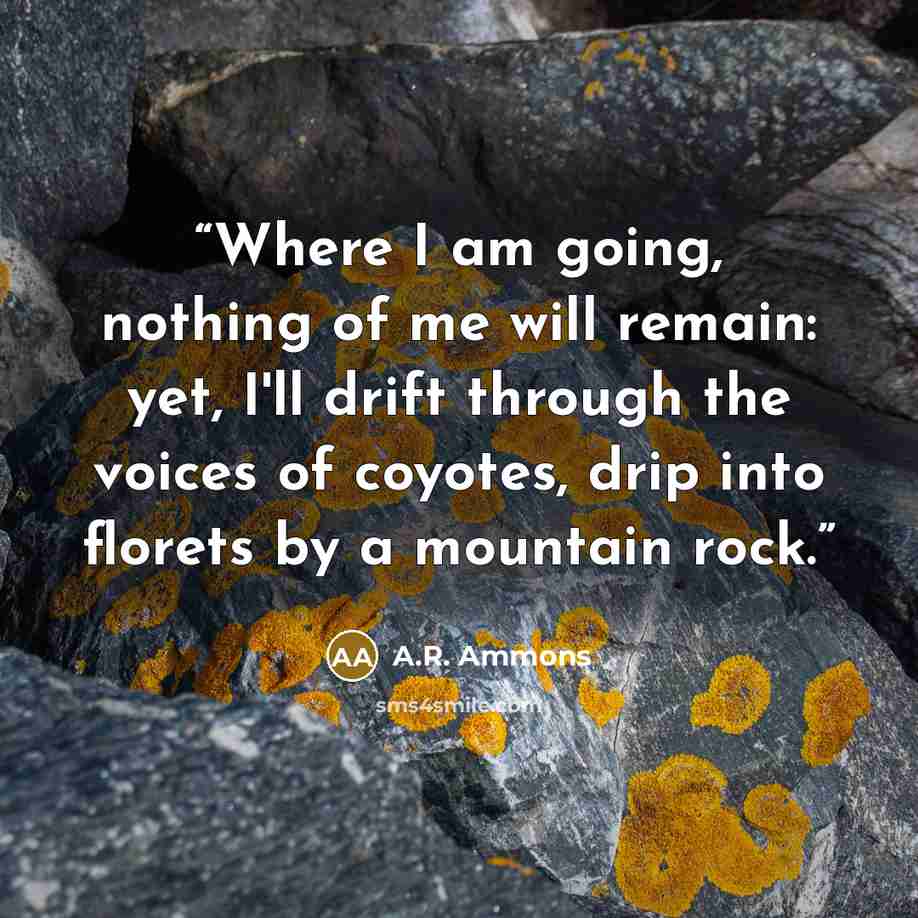 “Where I am going, nothing of me will remain: yet, I'll drift through the voices of coyotes, drip into florets by a mountain rock.” quote by A.R. Ammons