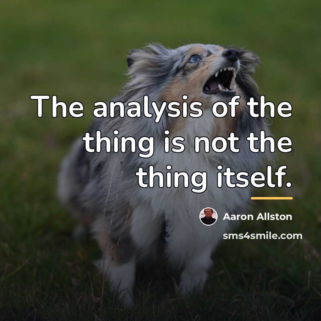 “The analysis of the thing is not the thing itself.…” quote by Aaron Allston