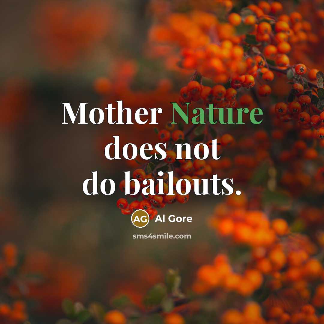 “Mother Nature does not do bailouts.…” quote by Al Gore