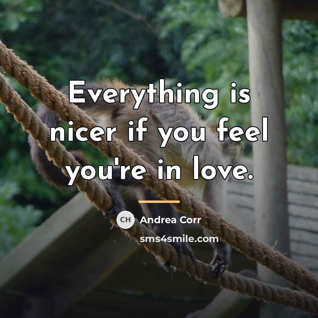 “Everything is nicer if you feel you're in love.…” quote by Andrea Corr
