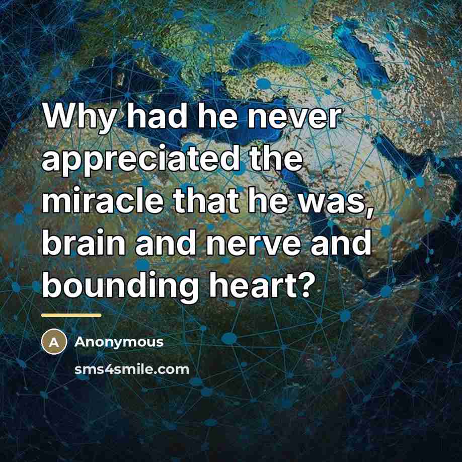 “Why had he never appreciated the miracle that he was,…” quote by Anonymous