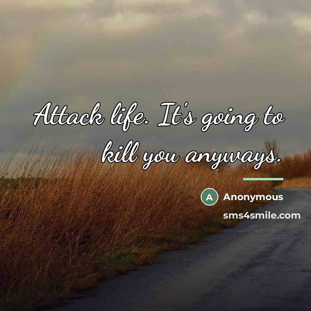 “Attack life. It's going to kill you anyways.…” quote by Anonymous