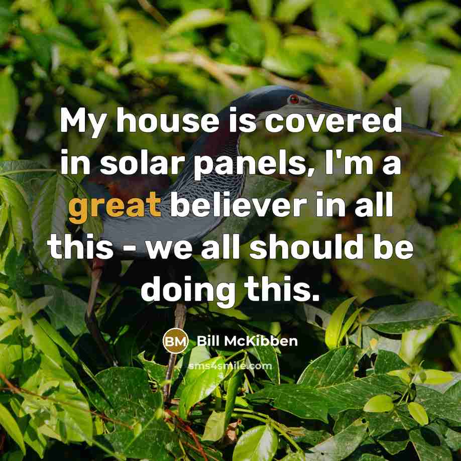 “My house is covered in solar panels, I'm a great…” quote by Bill McKibben
