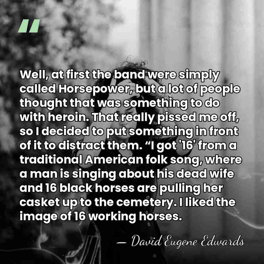 Well, at first the band were simply called Horsepower, but a lot&hellip; - David Eugene Edwards