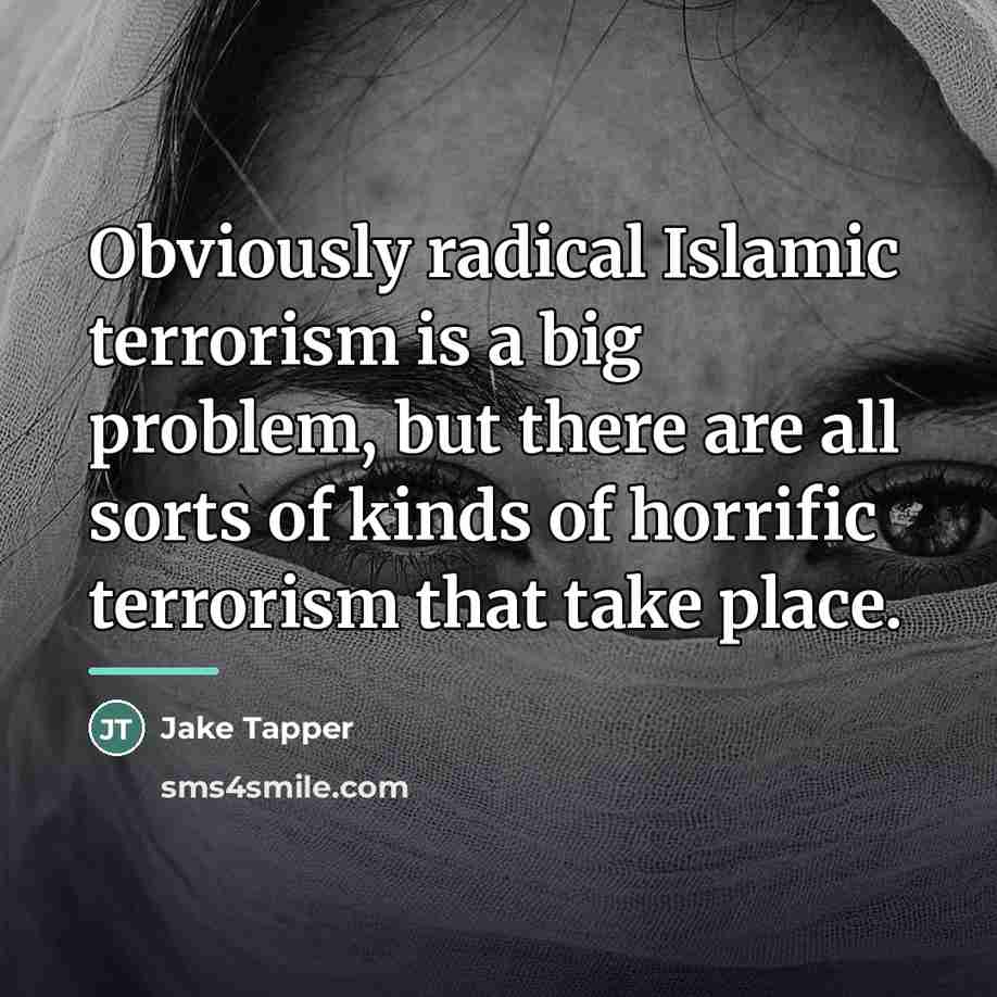 “Obviously radical Islamic terrorism is a big problem, but there…” quote by Jake Tapper