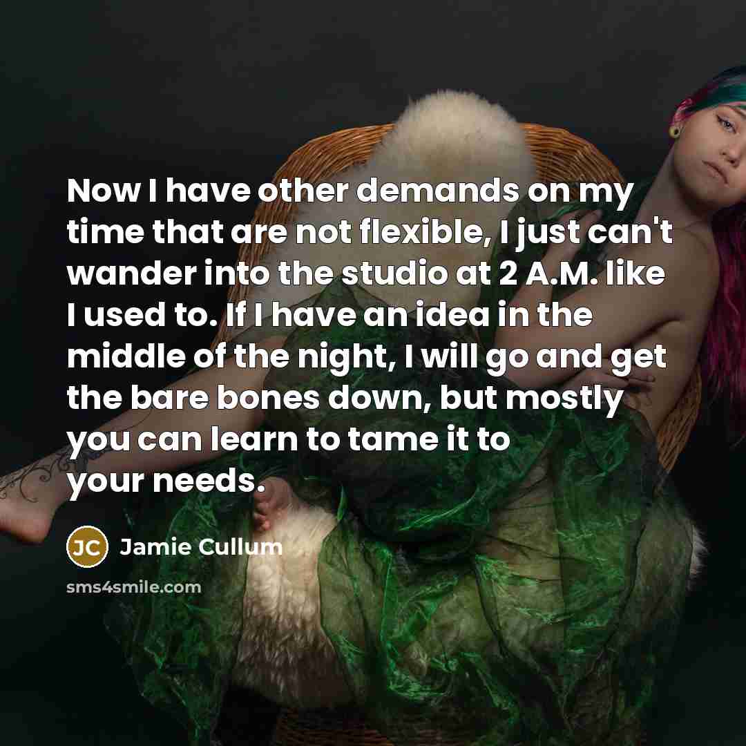 “Now I have other demands on my time that are…” quote by Jamie Cullum
