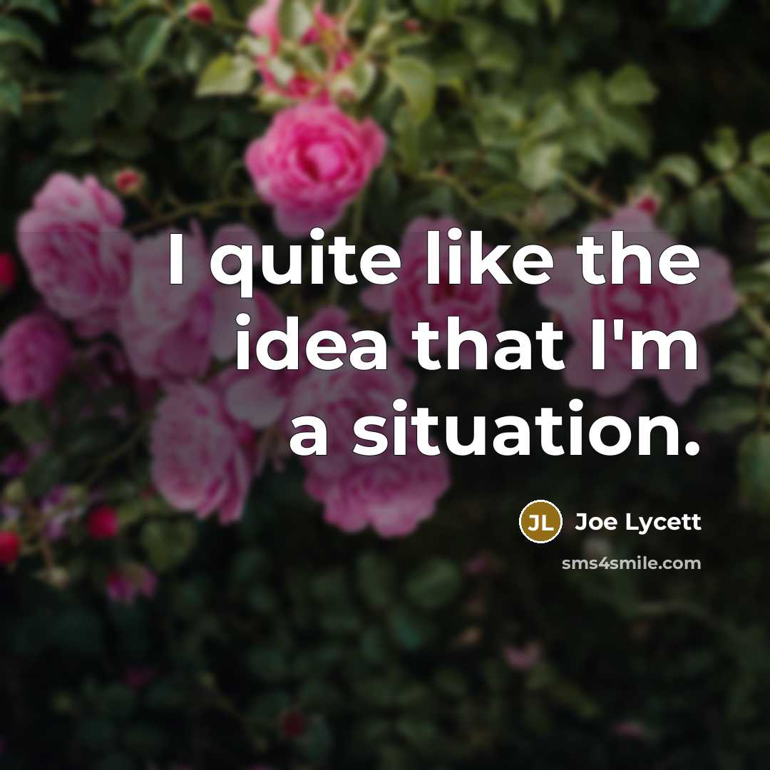 “I quite like the idea that I'm a situation.…” quote by Joe Lycett