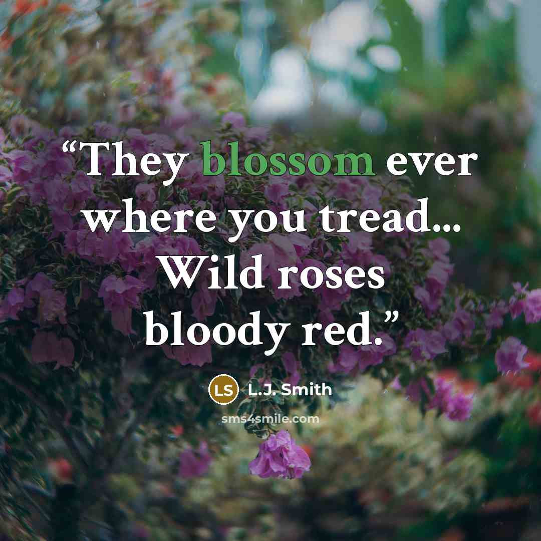 “They blossom ever where you tread... Wild roses bloody red.” quote by L.J. Smith