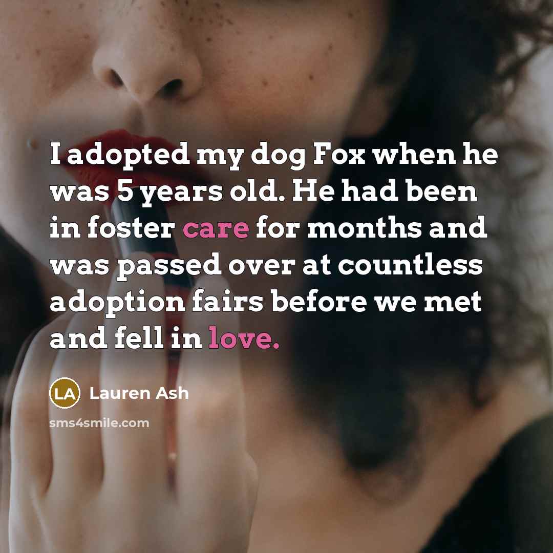 “I adopted my dog Fox when he was 5 years old. He had been in foster care for months and was passed over at countless adoption fairs before we met and fell in love.” quote by Lauren Ash