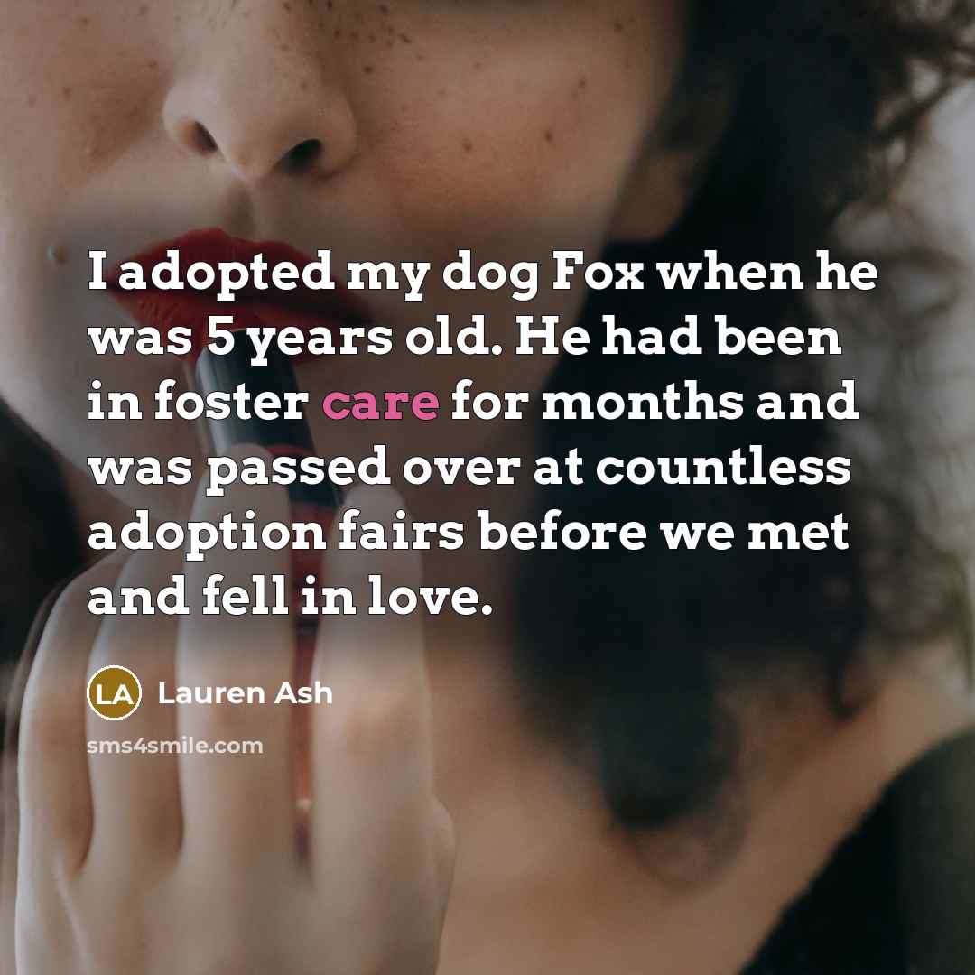 “I adopted my dog Fox when he was 5 years…” quote by Lauren Ash