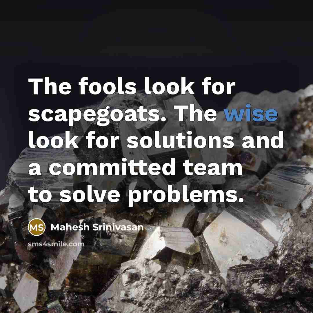 “The fools look for scapegoats. The wise look for solutions…” quote by Mahesh Srinivasan