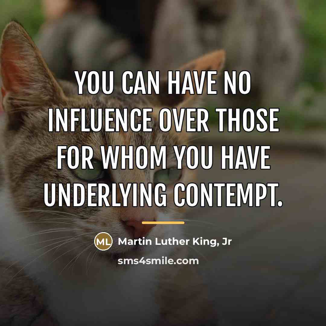 “You can have no influence over those for whom you…” quote by Martin Luther King, Jr