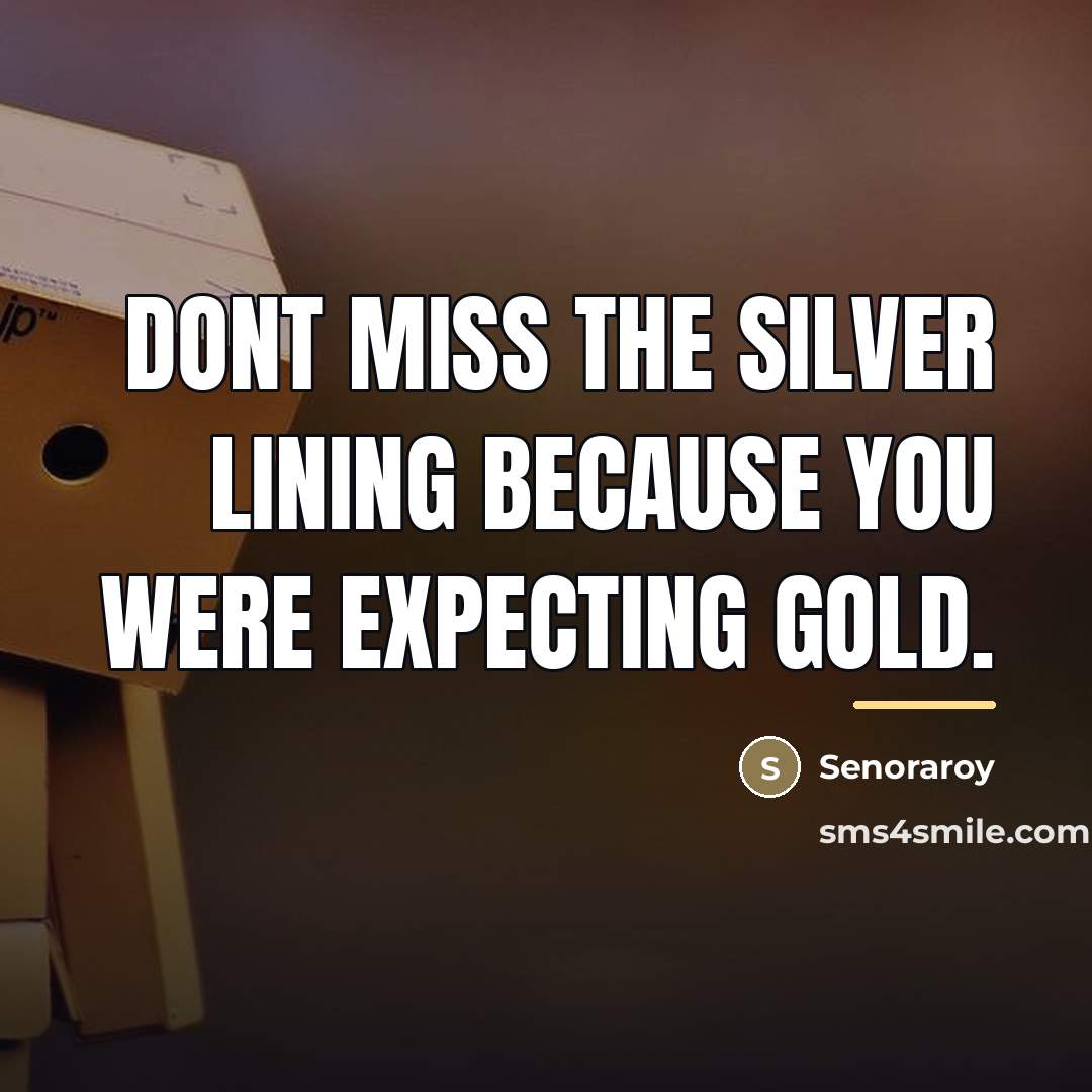 “Dont miss the silver lining because you were expecting gold.…” quote by Senoraroy