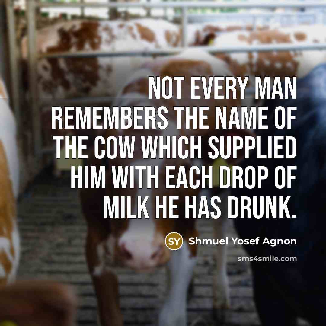 “Not every man remembers the name of the cow which…” quote by Shmuel Yosef Agnon