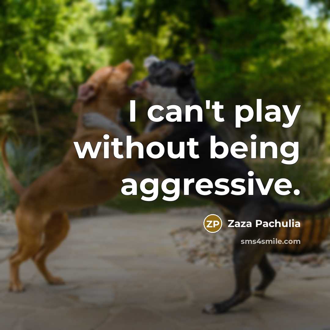 “I can't play without being aggressive.…” quote by Zaza Pachulia