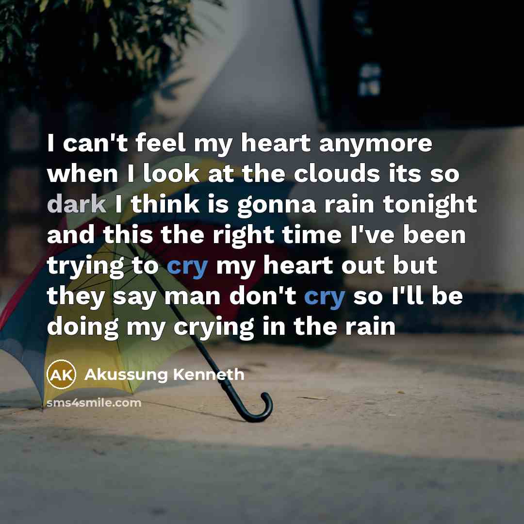 “I can't feel my heart anymore when I look at…” quote by Akussung Kenneth