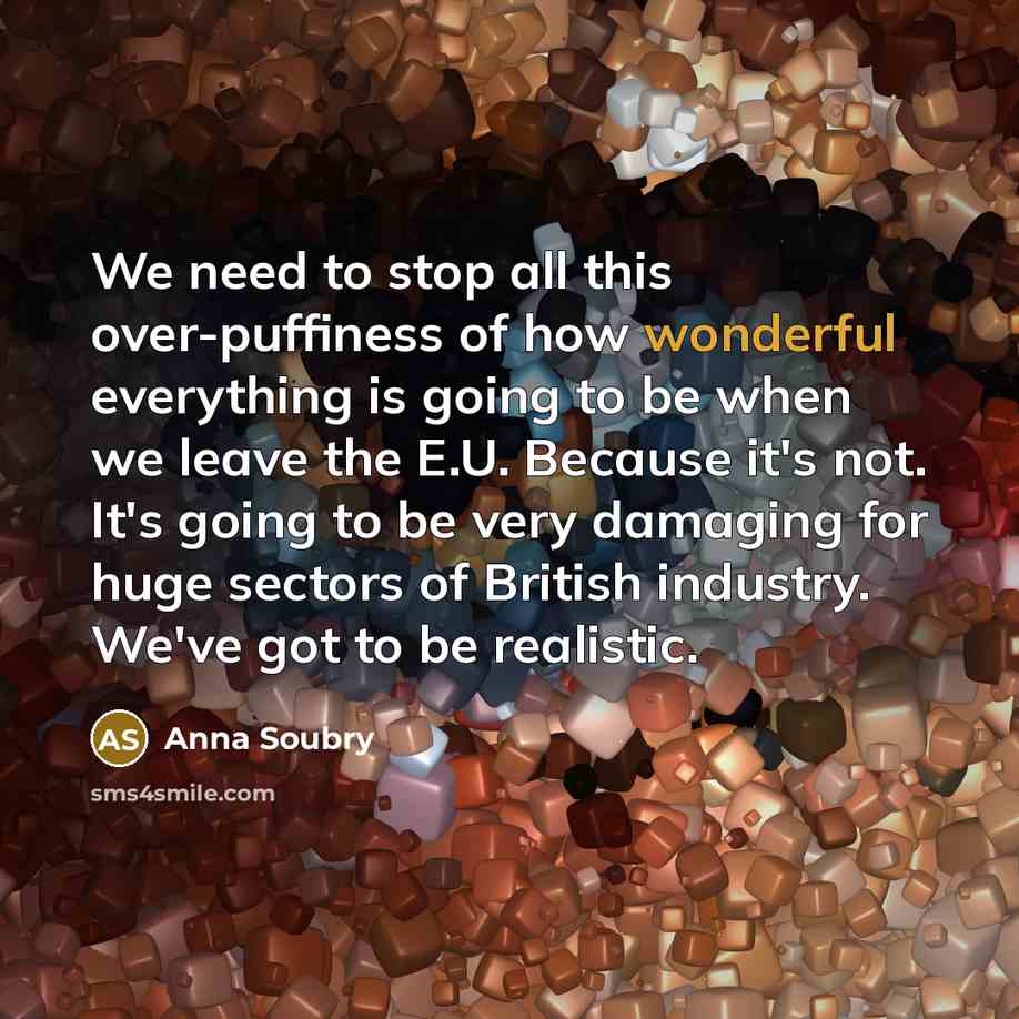 “We need to stop all this over-puffiness of how wonderful…” quote by Anna Soubry