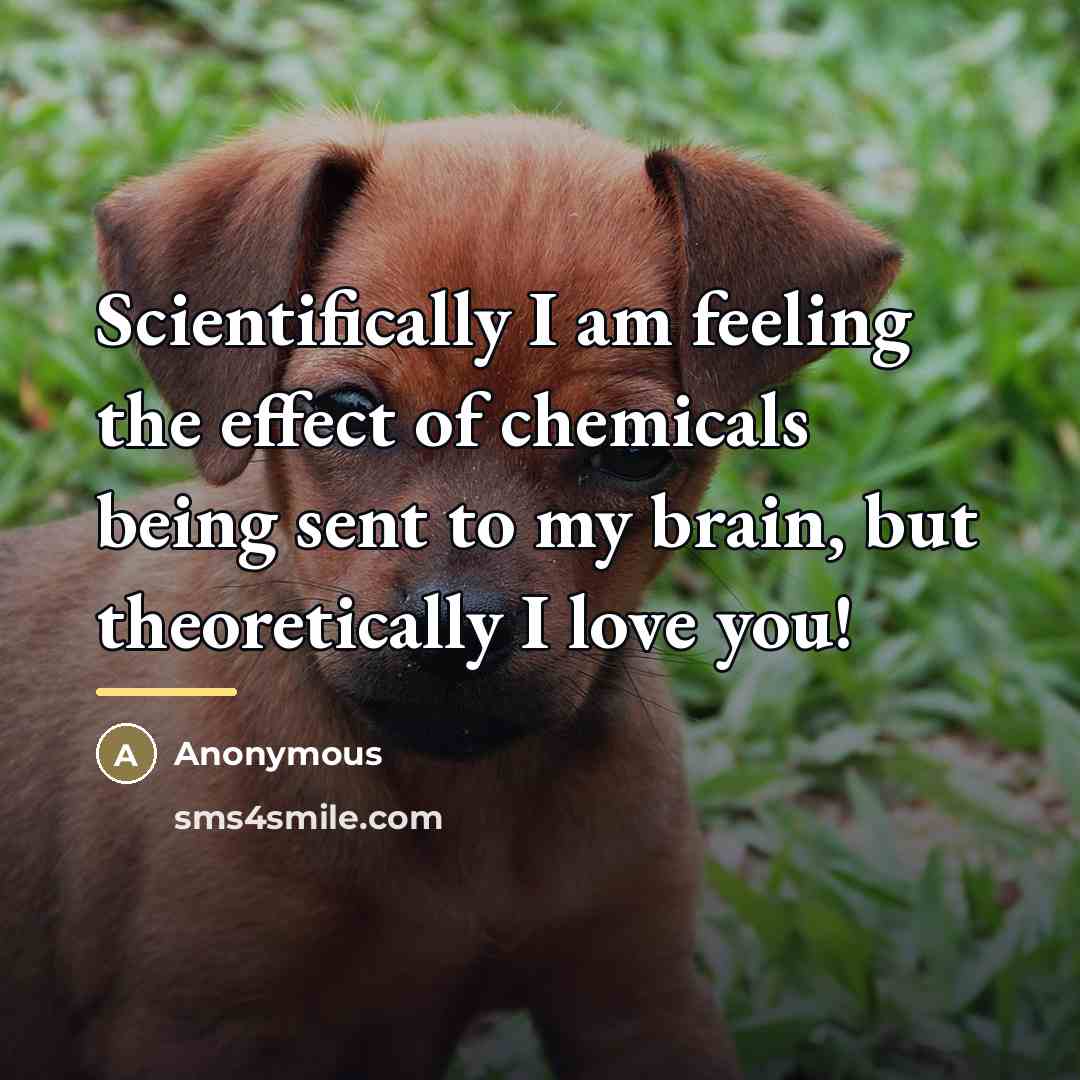 “Scientifically I am feeling the effect of chemicals being sent…” quote by Anonymous