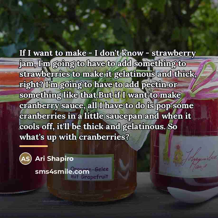 “If I want to make - I don't know -…” quote by Ari Shapiro