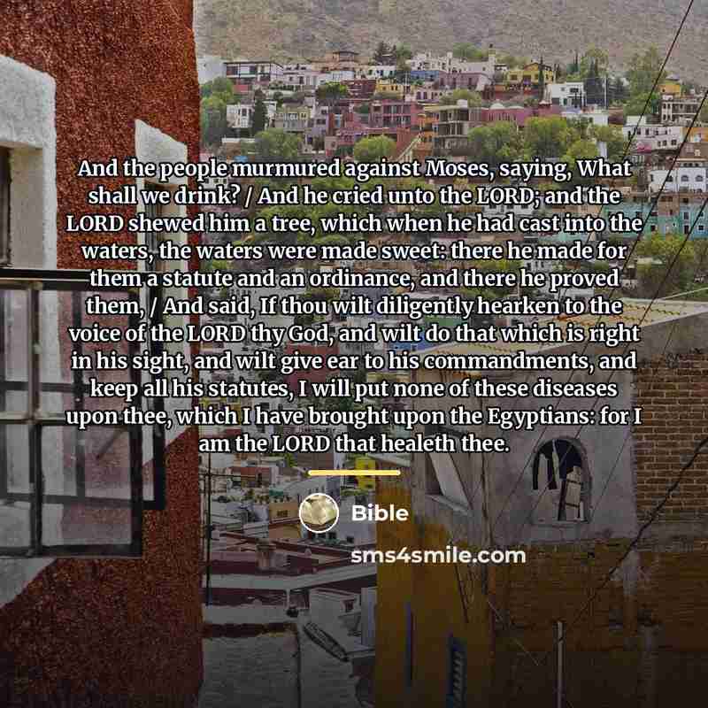 “And the people murmured against Moses, saying, What shall we…” quote by Bible