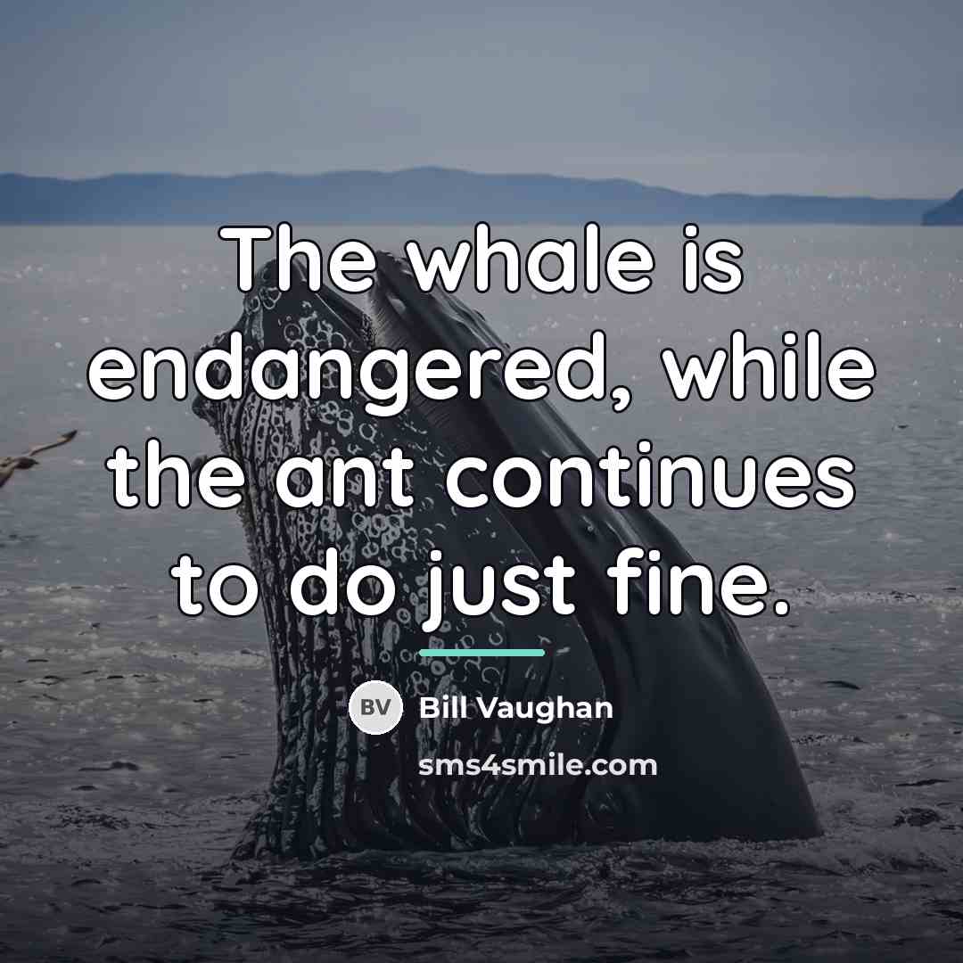 “The whale is endangered, while the ant continues to do…” quote by Bill Vaughan