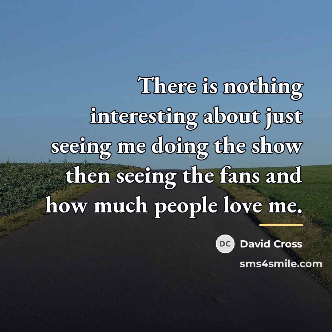“There is nothing interesting about just seeing me doing the…” quote by David Cross