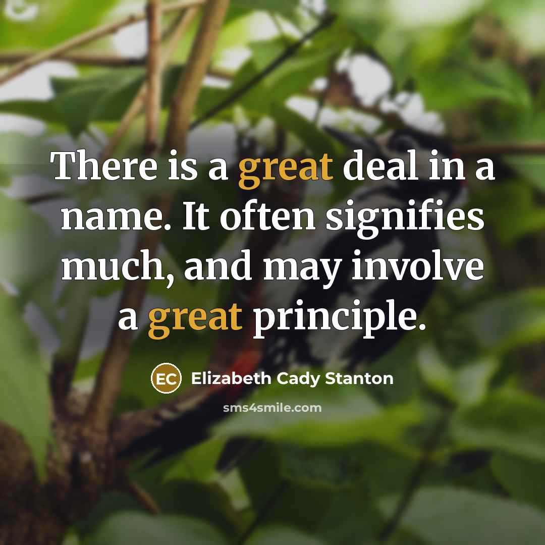“There is a great deal in a name. It often…” quote by Elizabeth Cady Stanton