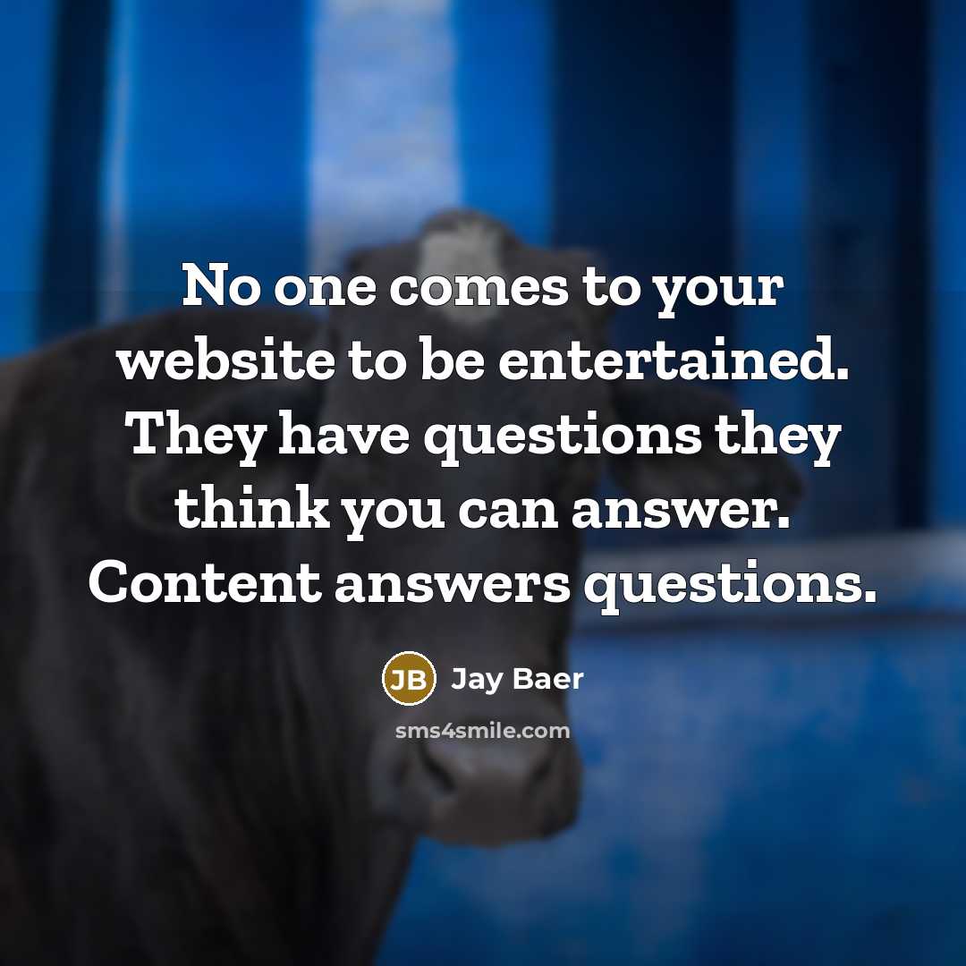 “No one comes to your website to be entertained. They…” quote by Jay Baer