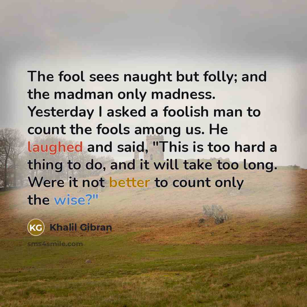 “The fool sees naught but folly; and the madman only…” quote by Khalil Gibran