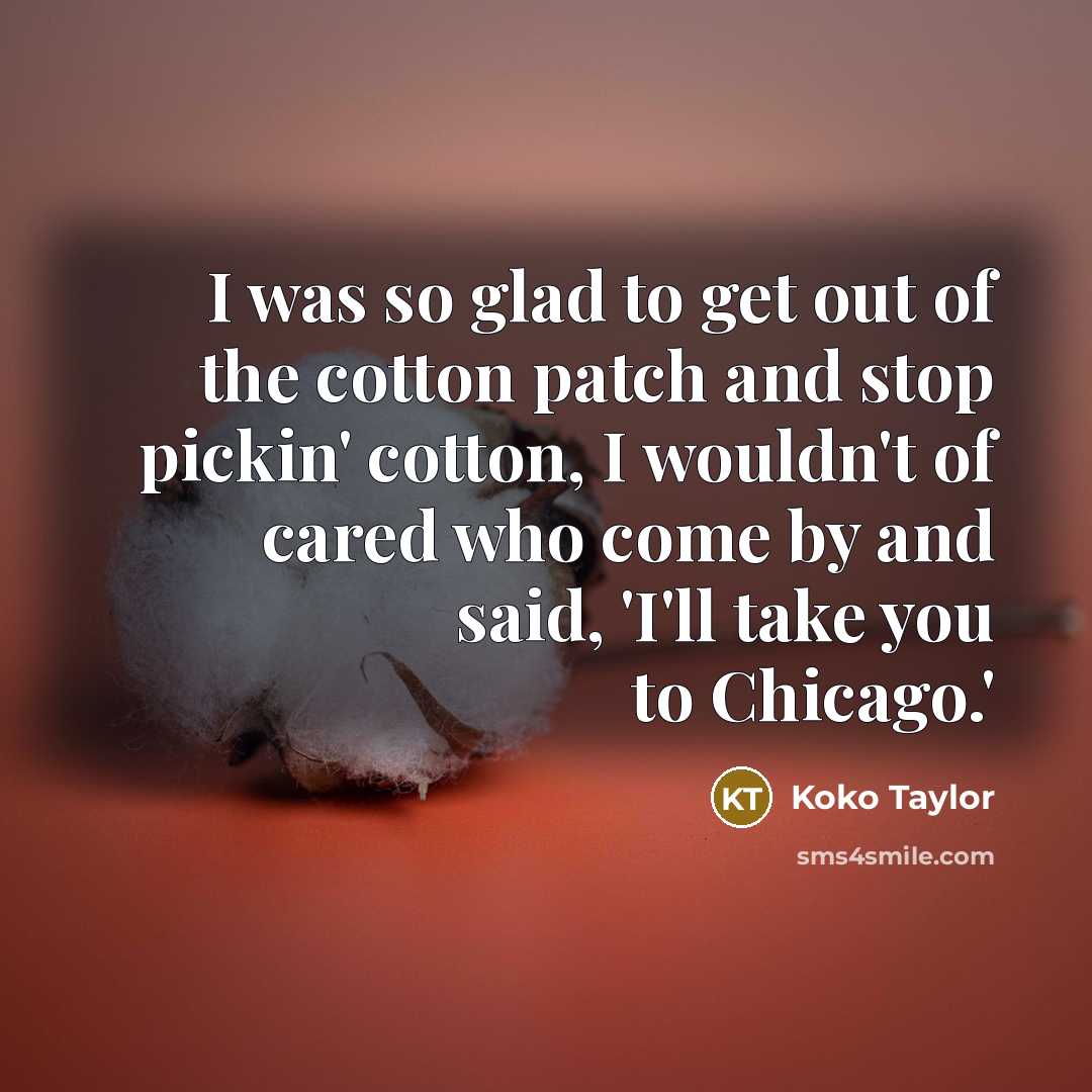 “I was so glad to get out of the cotton…” quote by Koko Taylor