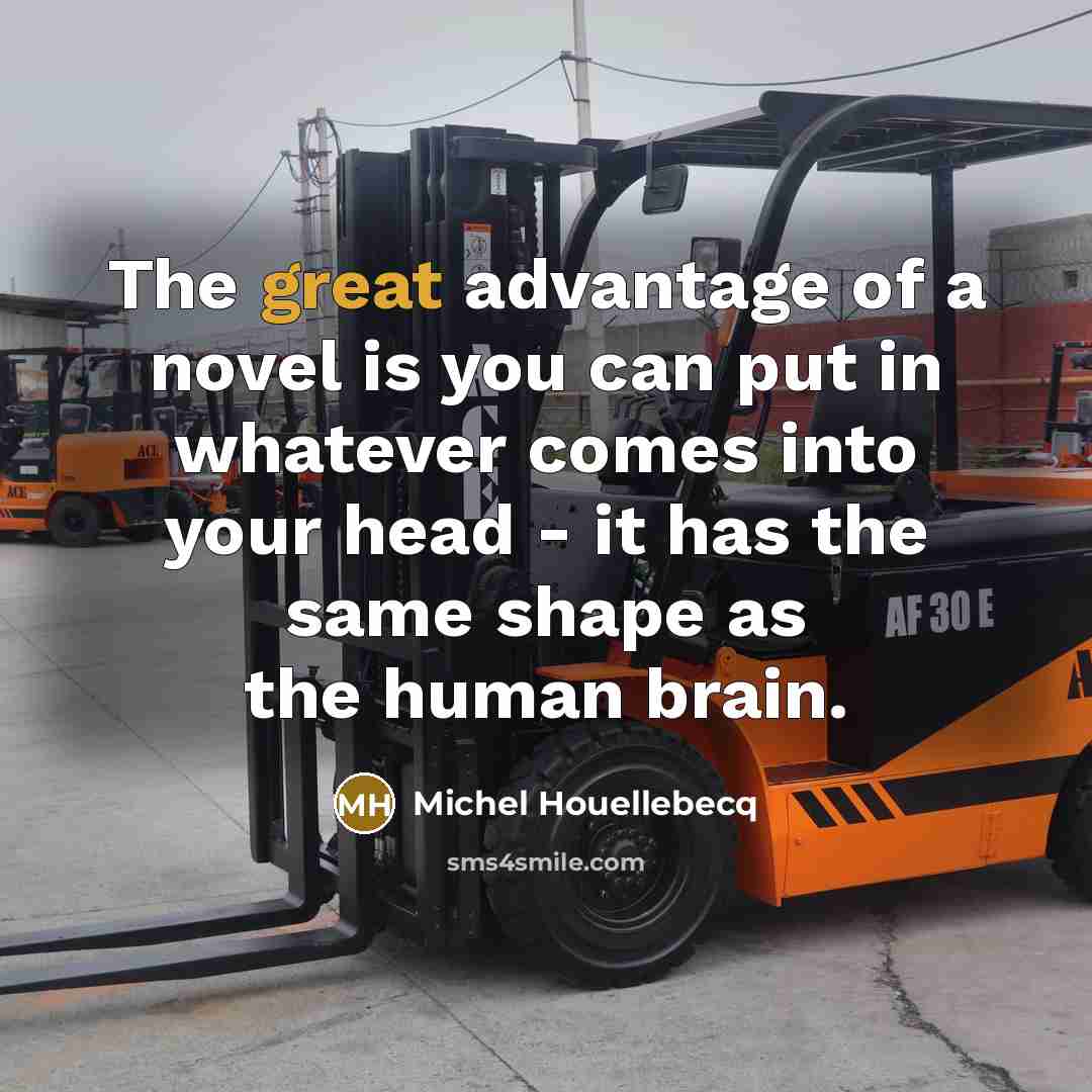 “The great advantage of a novel is you can put…” quote by Michel Houellebecq