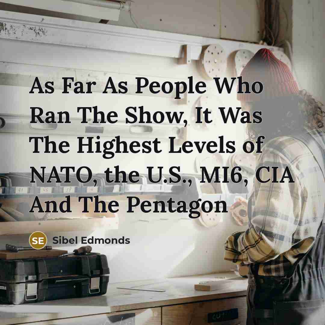 “As Far As People Who Ran The Show, It Was…” quote by Sibel Edmonds