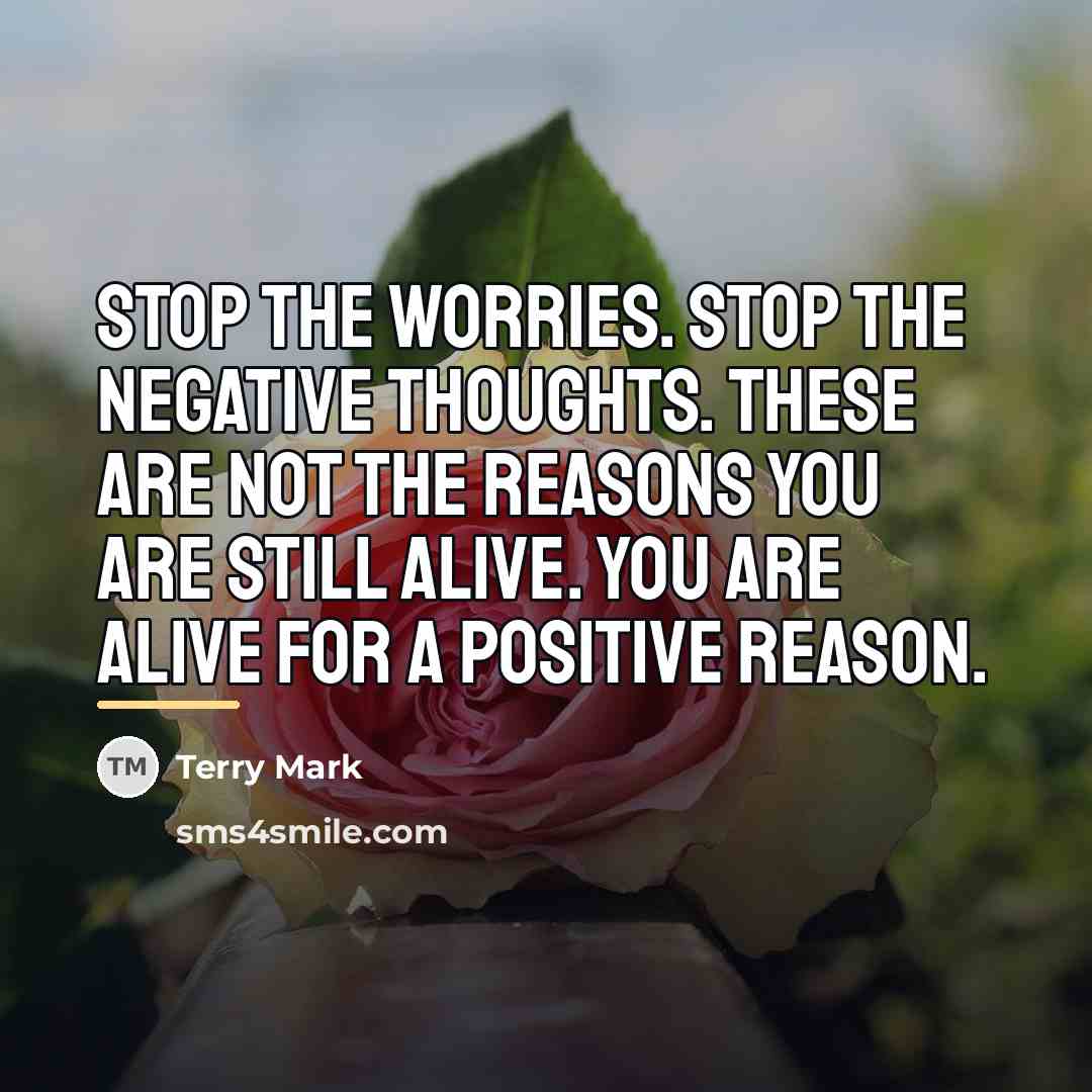 “Stop the worries. Stop the negative thoughts. These are not…” quote by Terry Mark