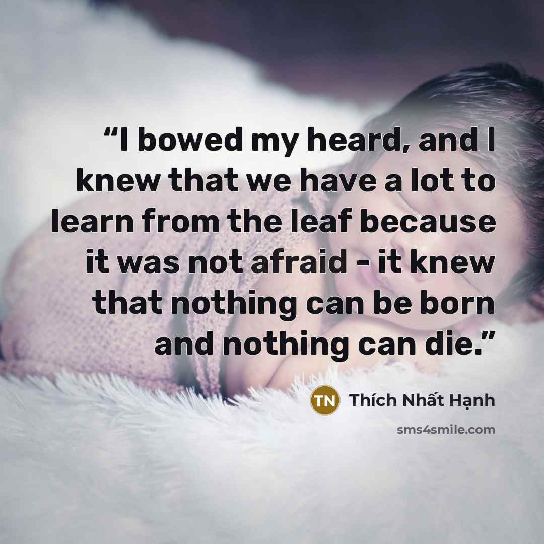 “I bowed my heard, and I knew that we have a lot to learn from the leaf because it was not afraid - it knew that nothing can be born and nothing can die.” quote by Thich Nhat Hanh