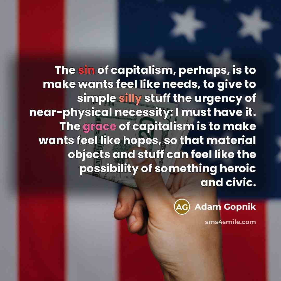 “The sin of capitalism, perhaps, is to make wants feel…” quote by Adam Gopnik