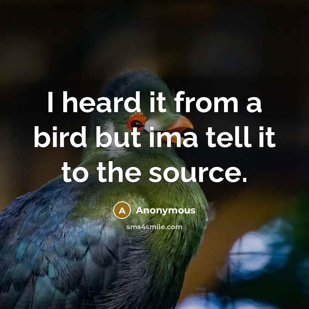 “I heard it from a bird but ima tell it to the source.” quote by Anonymous