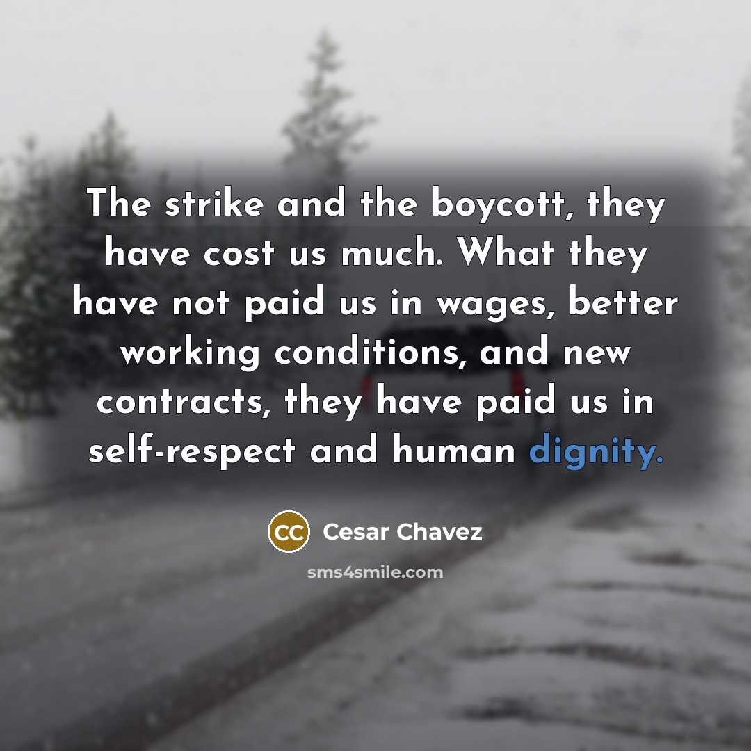 “The strike and the boycott, they have cost us much.…” quote by Cesar Chavez