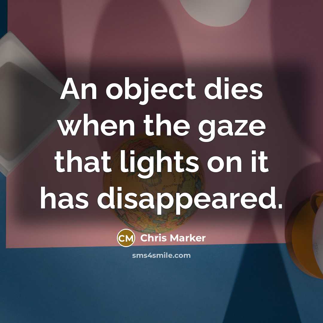 “An object dies when the gaze that lights on it…” quote by Chris Marker