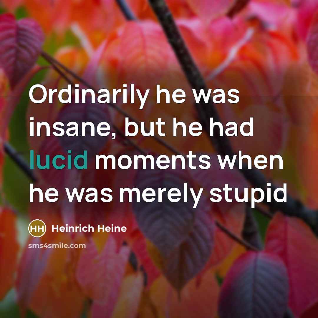 “Ordinarily he was insane, but he had lucid moments when…” quote by Heinrich Heine