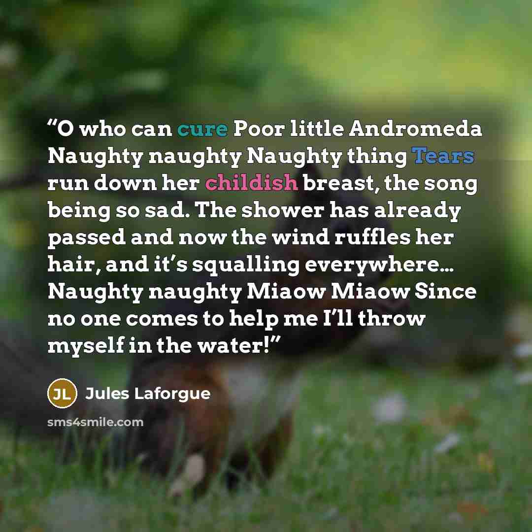 “O who can cure Poor little Andromeda Naughty naughty Naughty thing Tears run down her childish breast, the song being so sad. The shower has already passed and now the wind ruffles her hair, and it’s squalling everywhere… Naughty naughty Miaow Miaow Since no one comes to help me I’ll throw myself…” quote by Jules Laforgue