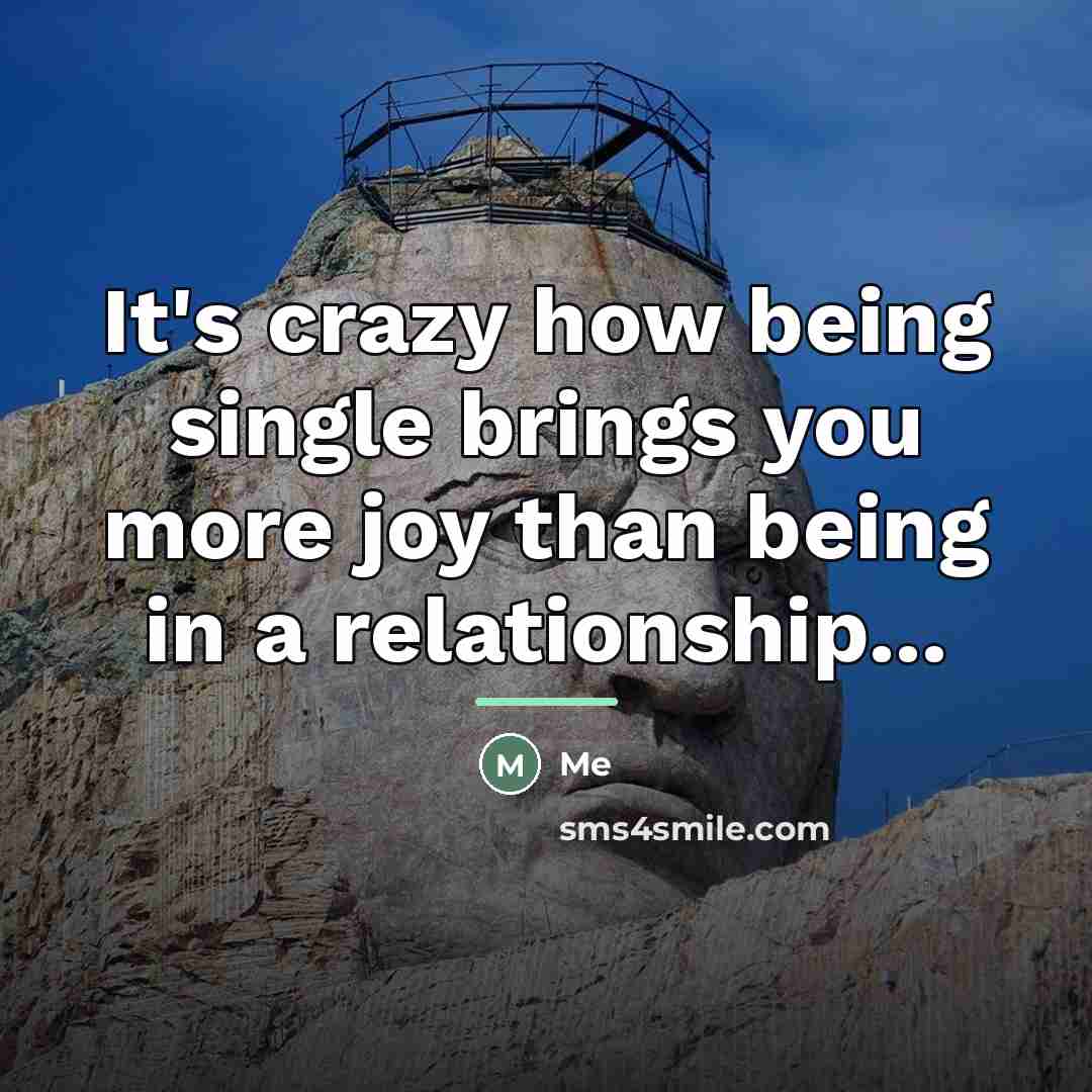 “It's crazy how being single brings you more joy than…” quote by Me