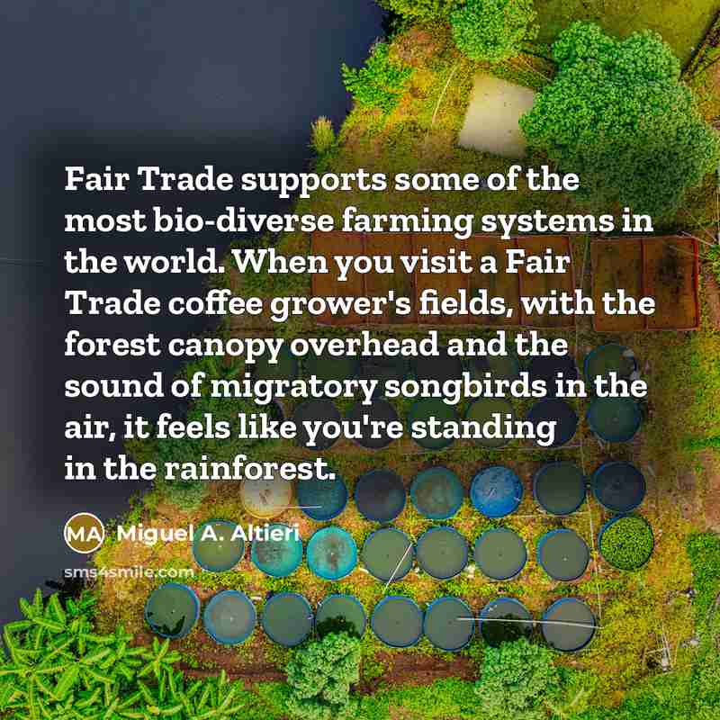 “Fair Trade supports some of the most bio-diverse farming systems in the world. When you visit a Fair Trade coffee grower's fields, with the forest canopy overhead and the sound of migratory songbirds in the air, it feels like you're standing in the rainforest.” quote by Miguel A. Altieri